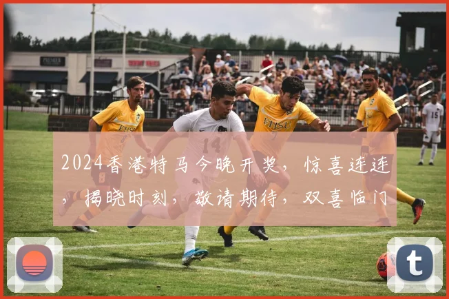 2024香港特马今晚开奖，惊喜连连，揭晓时刻，敬请期待，双喜临门