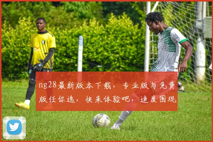 ng28最新版本下载，专业版与免费版任你选，快来体验吧，速度围观