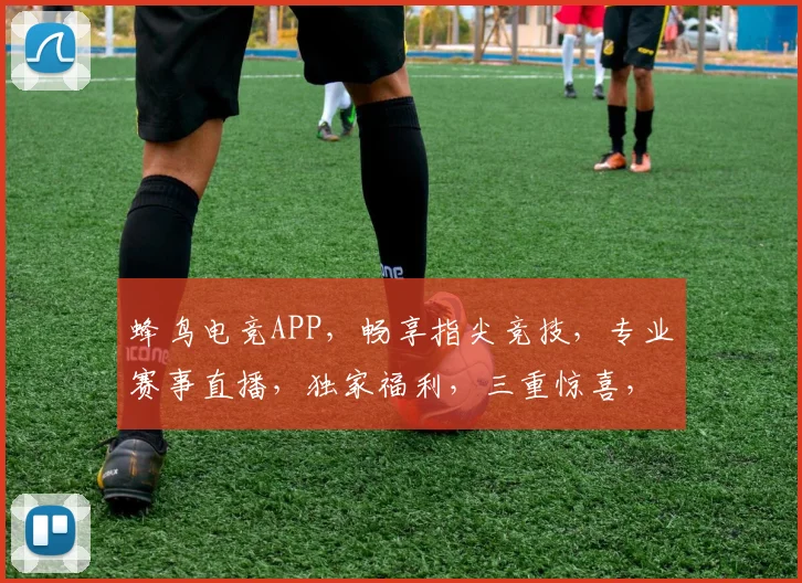 蜂鸟电竞APP，畅享指尖竞技，专业赛事直播，独家福利，三重惊喜，等你来战