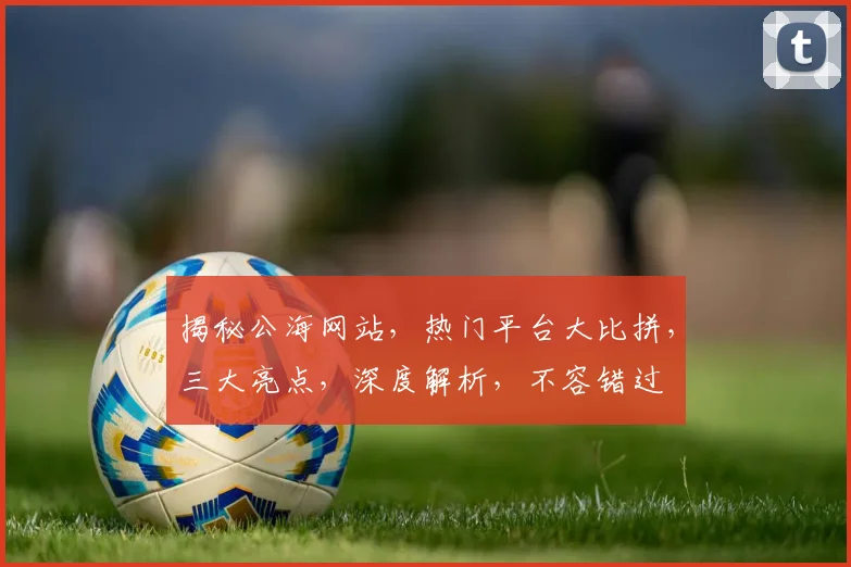 揭秘公海网站，热门平台大比拼，三大亮点，深度解析，不容错过