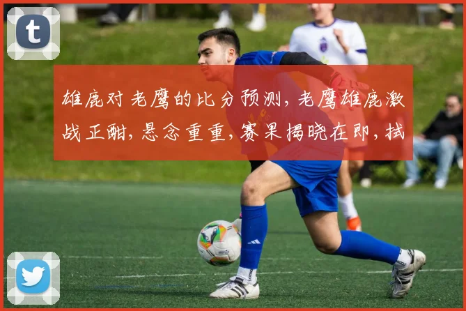 雄鹿对老鹰的比分预测,老鹰雄鹿激战正酣,悬念重重,赛果揭晓在即,拭目以待